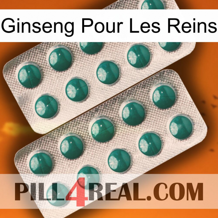 Ginseng For Kidney dapoxetine2